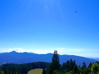 100725-Neureuter-Alm-000010