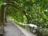 230727 Insel-Mainau009-neu