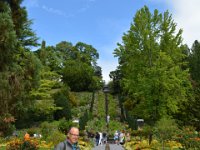 230727 Insel-Mainau105-neu