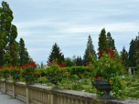 230727 Insel-Mainau135-neu