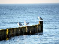 150308-Ostsee-060-neu