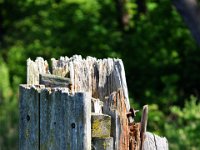 150524-Potsdam-Familie-074-neu