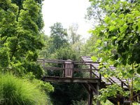 240811-Spreewald-016-neu