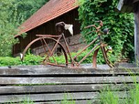 240811-Spreewald-018-neu