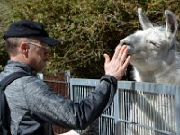 180404 Tierpark-Ulm 131