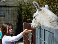 180404 Tierpark-Ulm 133