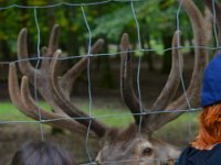 230726 Tripsdrill-Wildpark243