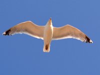 150718-Warnemünde-070-NEU